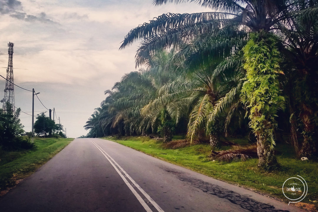 Autostop w Malezji - Na Nowej Drodze Życia