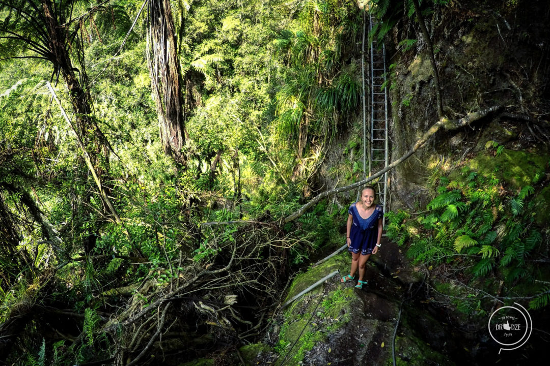 Omanawa waterfall - Na Nowej Drodze Życia