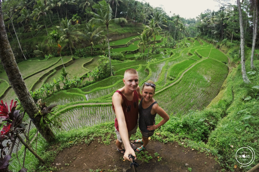 Bali – co warto zobaczyć. Tarasy ryżowe Tegalalang