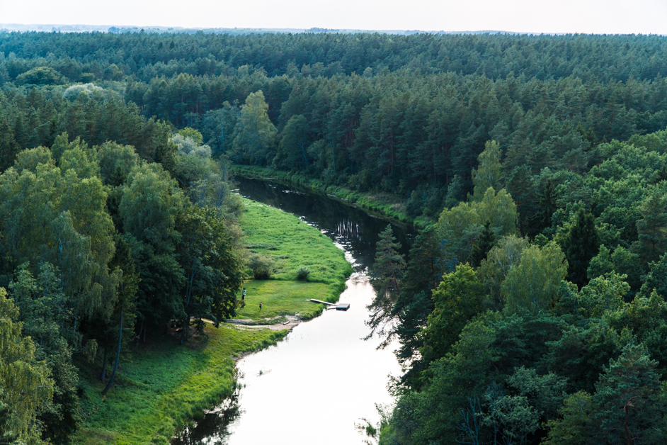 Litwa co zobaczyć - Tree Top Walk