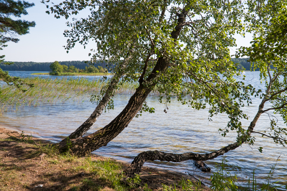 Litwa co zobaczyć - Łabonarski Park Regionalny